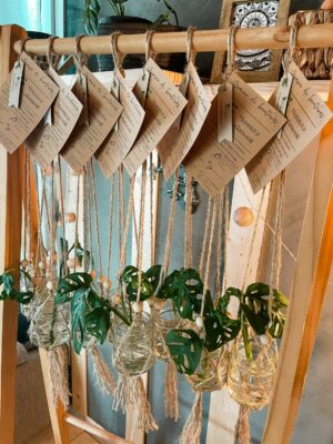 Suspension plantes macramé et boutures