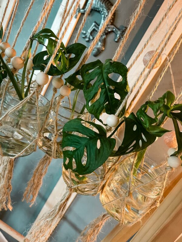 Suspension plantes macramé et boutures