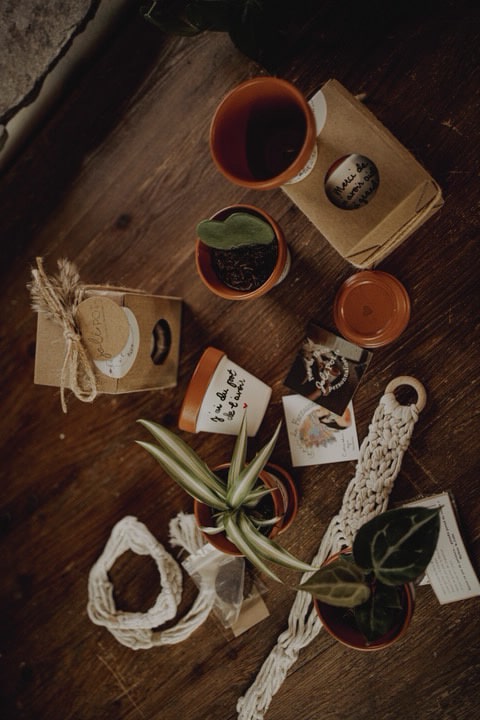 coffret de l'amour à planter